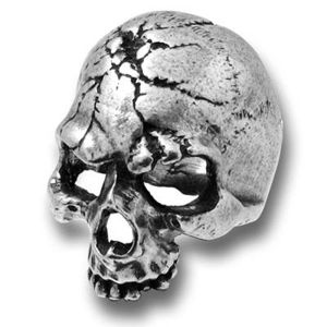prsten Ruination Skull ALCHEMY GOTHIC - R174 Q