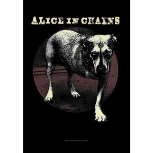 HEART ROCK Alice In Chains Grin