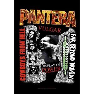 HEART ROCK Pantera 3 Albums