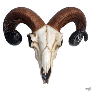 dekorace Rams Skull Medium - D1250D5
