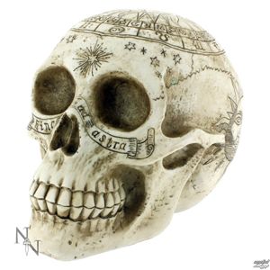 dekorace Astrological Skull - D1418D5
