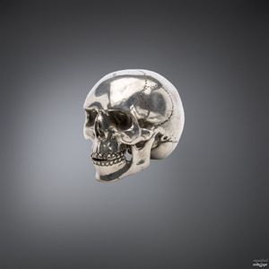 figurka QUEEN OF DARKNESS Metal Skull