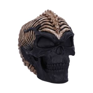 dekorace Spine Head Skull - B5390S0