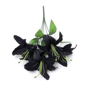 nábytek ALCHEMY GOTHIC Black Lily
